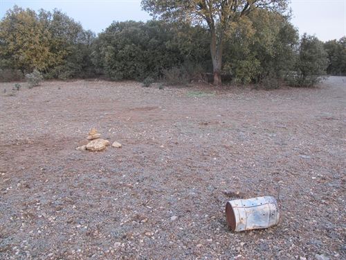 Canalejas de Peñafiel (Valladolid)