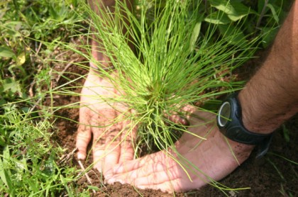 IUSC. Master para la Gestión y Conservación integral de la Naturaleza