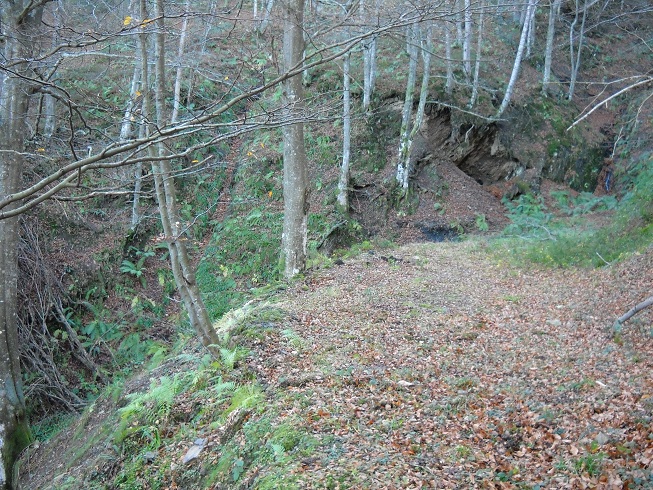 Asturias. Permiten un chamizo de montaña mientras cierran las minas mecanizadas