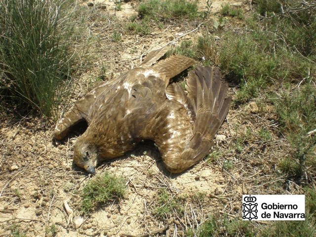 La Fiscalía mejorará la coordinación administrativa