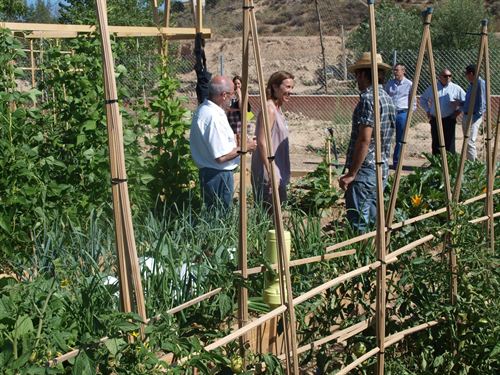La Rioja. La alcaldesa de Logroño visita los huertos urbanos de El Campillo donde los adjudicatarios recogen sus primeros frutos