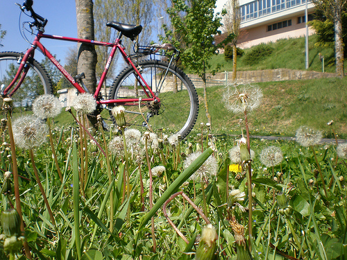 España debe ‘apostar’ por las infraestructuras verdes