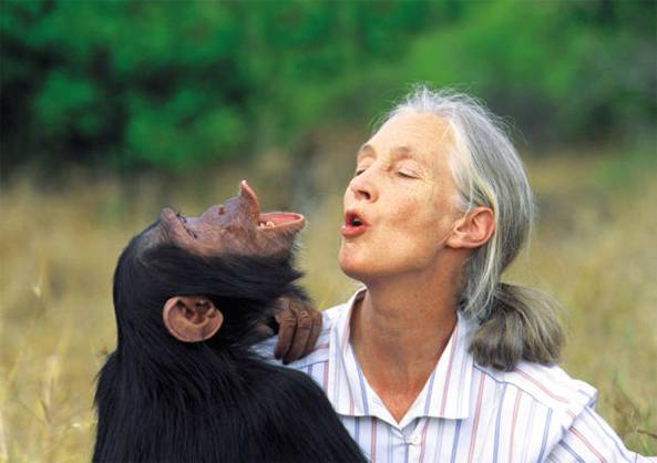 Jane Goodall