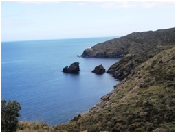 Taller para una nueva mirada