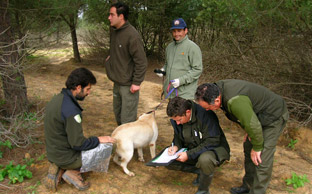 Agentes de Medio Ambiente realizan durante el primer semestre de este año 425.271 actuaciones