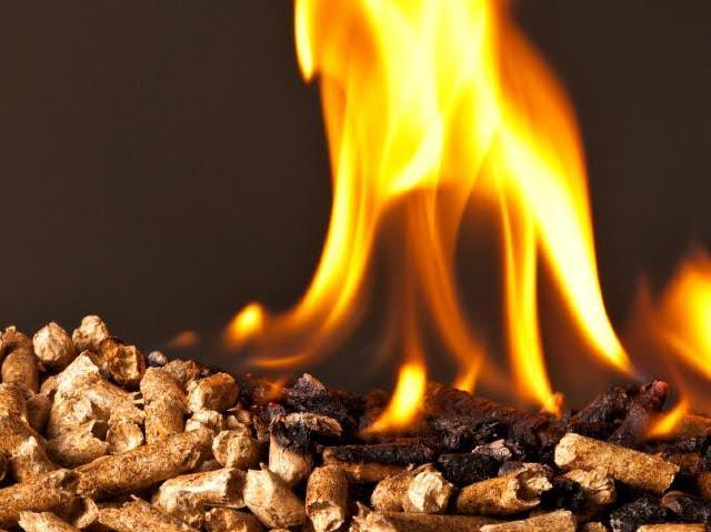 Sensacional curso de Energía de la Biomasa