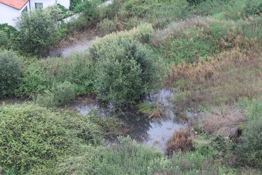 Asturias. Se agrava la laguna de aguas residuales de Avilés