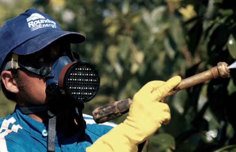 Murcia es la CCAA de la península en la que más plaguicidas se usan