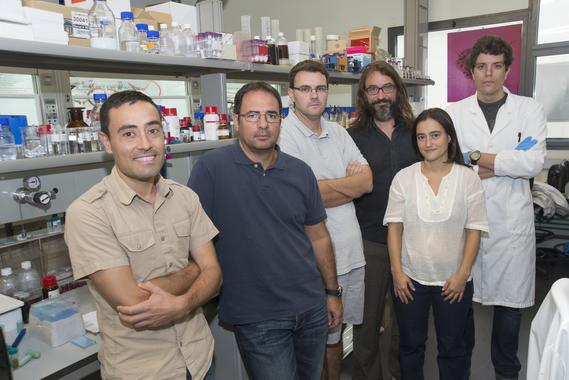 Innovadora tecnología permite triplicar la producción de biogás