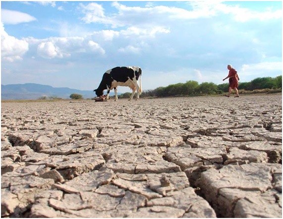 La sequía de Bolivia resalta deficiencias del sistema