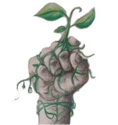 Qué es la ecología política Una vía para la esperanza en el siglo XXI