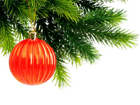 Árbol natural o de plástico