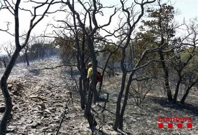 Extinguido el incendio forestal en Sant Guim de la Plana (Lleida)