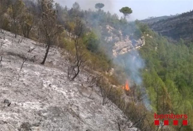 La zona del incendio forestal de Òdena estaba afectada por la sequía extrema por falta de lluvias
