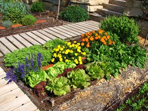 Va proyecto de huertos orgánicos