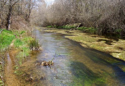El MARM evalúa favorablemente el proyecto de mejora del estado ecológico del río Ucero (Soria)