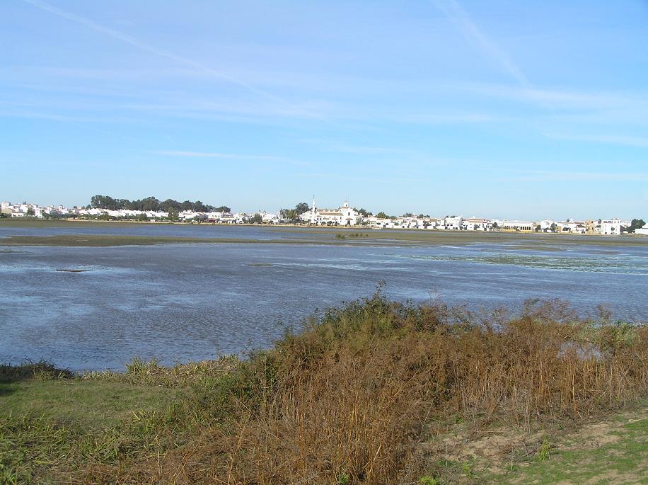 Condenado por construir una vivienda y una nave ganadera de 1.165 m2 en la marisma de Doñana