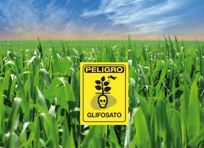 Francia se ‘planta’ sobre el glifosato