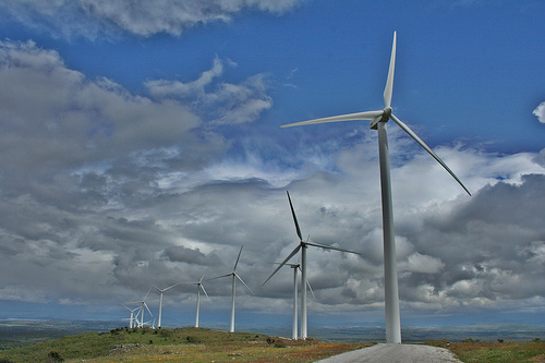 Van den Eynde (PP) anima a oponerse a los proyectos eólicos
