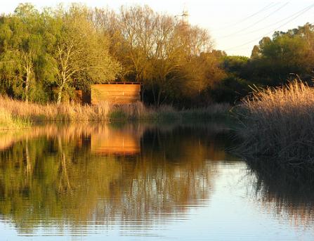 Los ciudadanos podrán visitar a partir de este otoño la nueva zona botánica del Parque del Alamillo