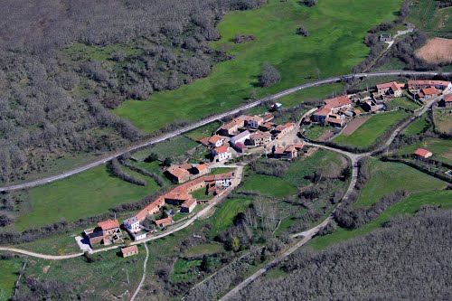 Veneno en Cordovilla de Aguilar (Palencia)