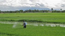 Los pesticidas producen Parkinson