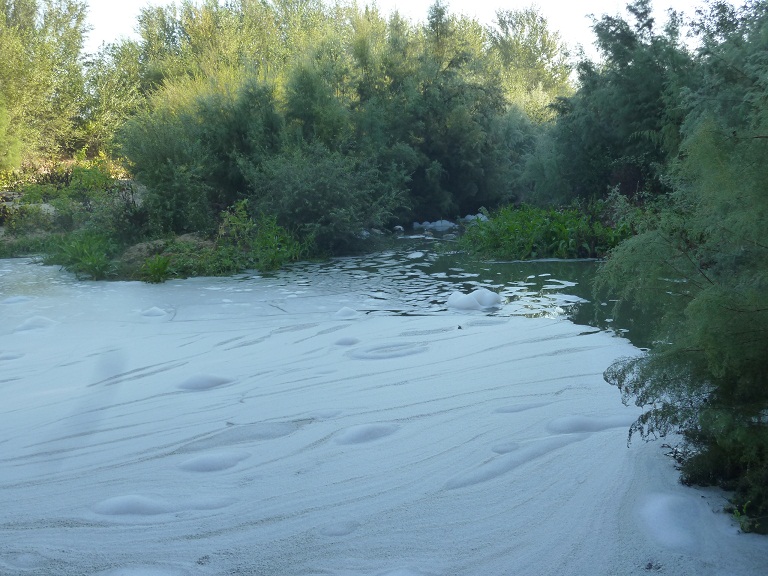 Las cloacas vierten directamente a Doñana