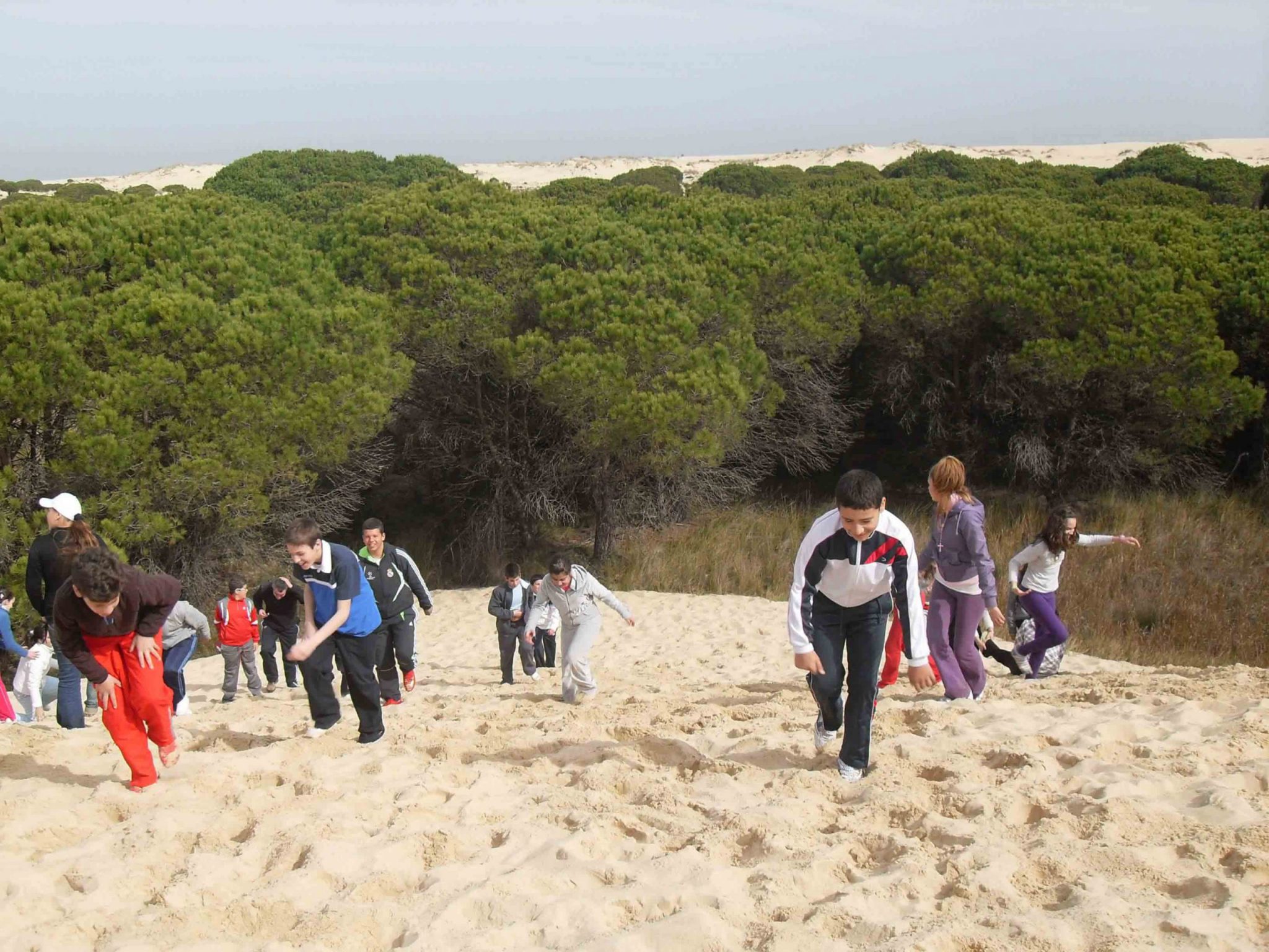 Sanlúcar de Barrameda y pilas inauguran esta semana la 16ª edición de aula entorno