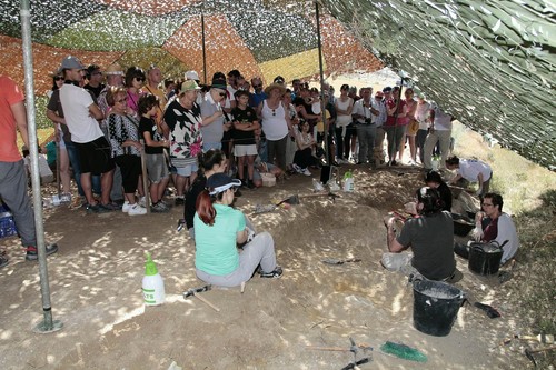 Salen a la luz más de 60 fósiles del dinosaurio que yace en Torrelara