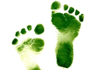 El Gobierno apoyará las reducciones de CO2