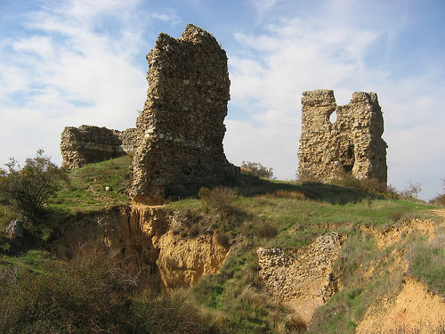 Examen a la restauración hidrológica y forestal de los alrededores de Saldaña (Palencia)
