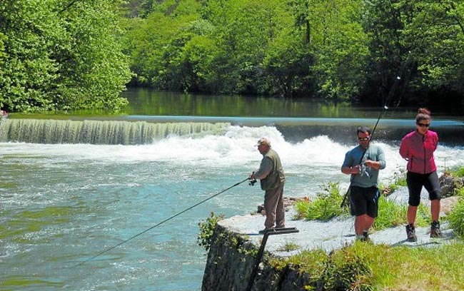 Hasta el 14 de julio no se podrán volver a pescar salmones en el río Bidasoa