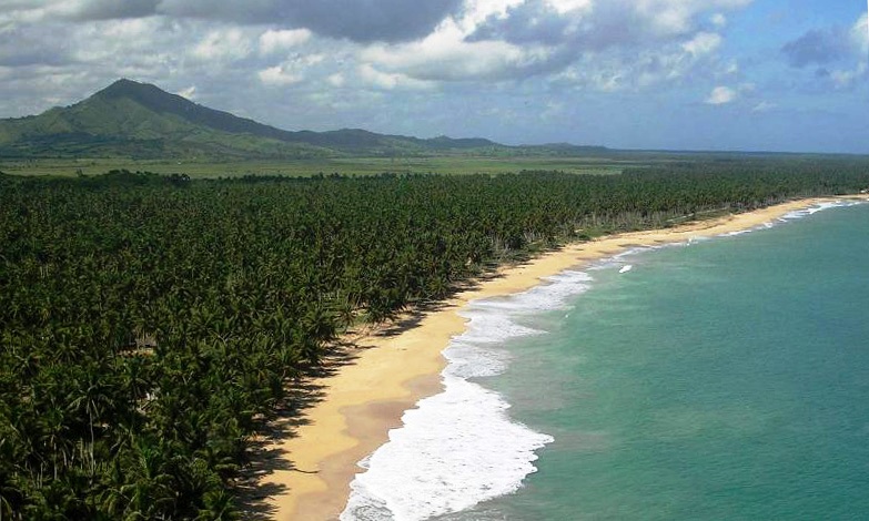 En las montañas tropicales podrían vivir seis veces más insectos de lo que se creía