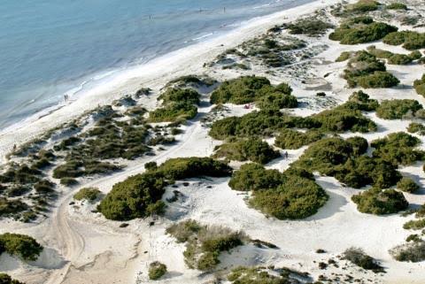 Es Trenc-Salobrar de Campos