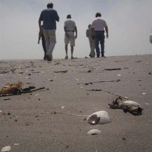 Varios Nobel instan a declarar las arenas de alquitrán como altamente contaminantes