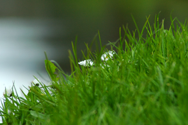 Biodegradación de tóxicos sin generar residuos