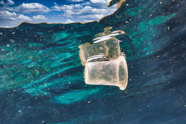 Ecocidio: debería ser delito internacional