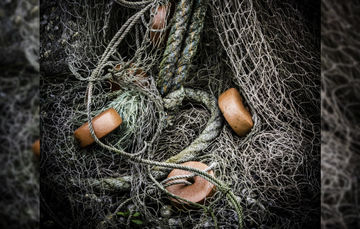 Pescadores se unen a la conservación de la vaquita marina