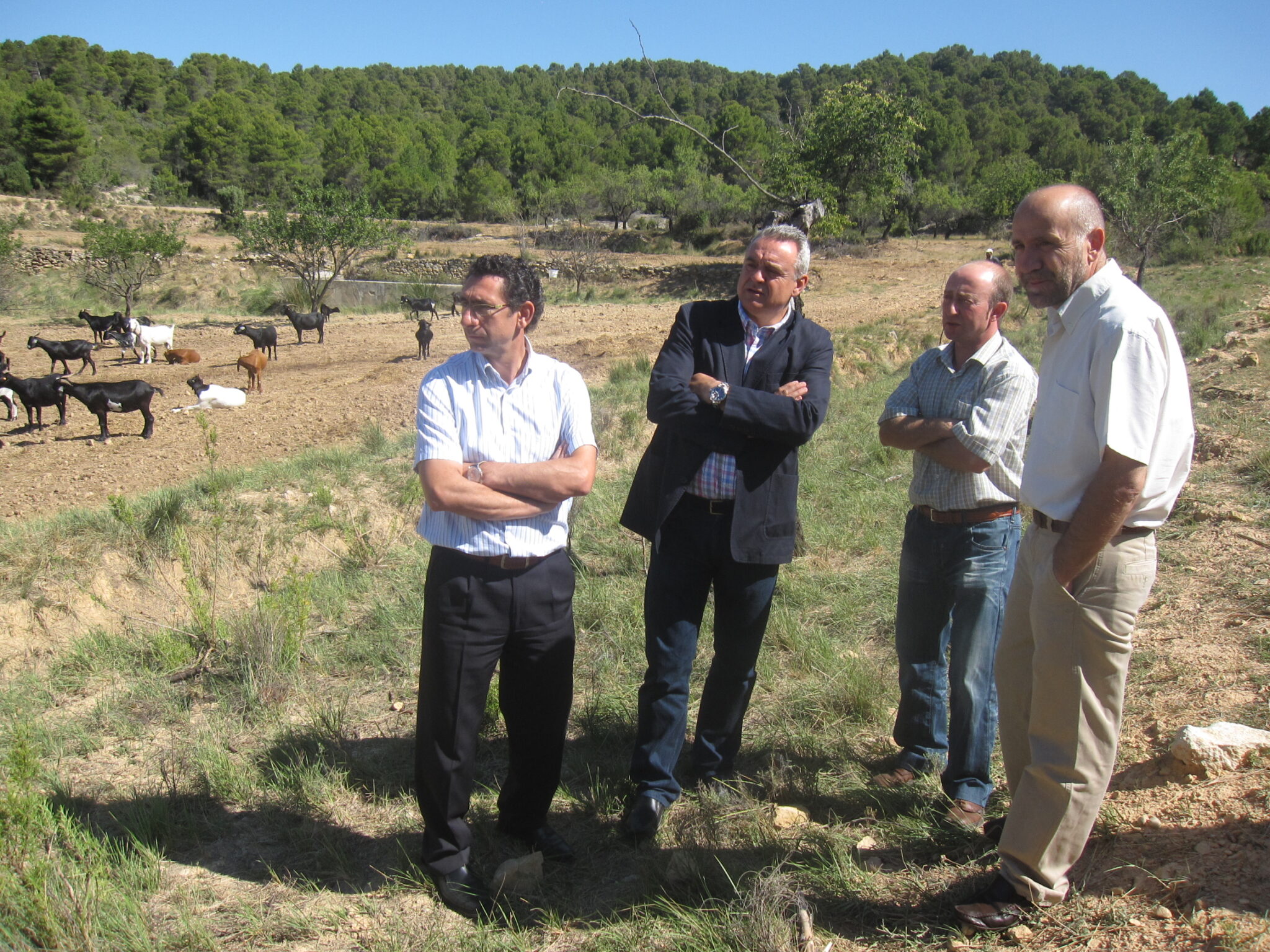Unos 320 kilómetros de cortafuegos se mantienen gracias a los 42 ganaderos que participan en el Plan Medioambiental de Ganadería Extensiva