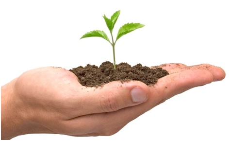 Qué puedes hacer por el medioambiente