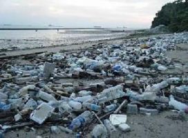 Canarias debe implantar un sistema de retorno de envases por el medio marino y el turismo sostenible