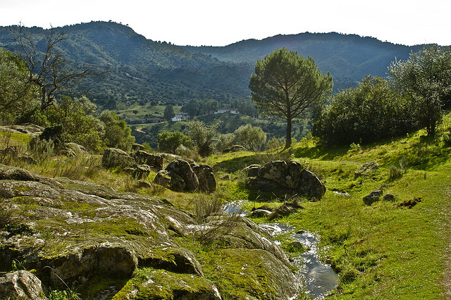 Aprobado el nuevo Plan de Desarrollo Sostenible del Parque Natural de Sierra de Andújar