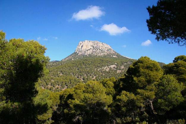 El Parque Regional de Sierra Espuña logra la Carta Europea de Desarrollo Sostenible