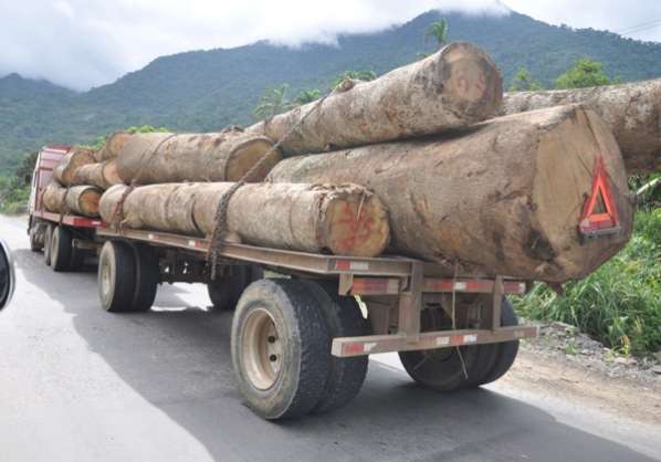 Bolivia se deforesta