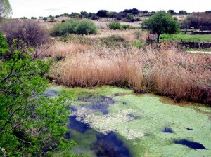 El TC confirma la anulación de una urbanización en Ávila y se lo pone muy difícil a las nuevas macrourbanizaciones