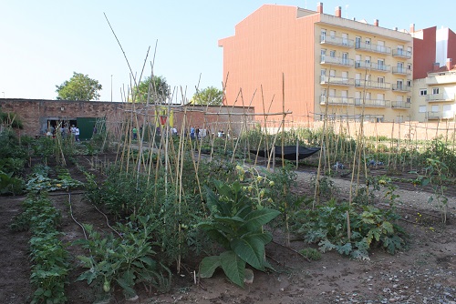 14 ª FIRA DEL MEDI AMBIENT DE TÀRREGA