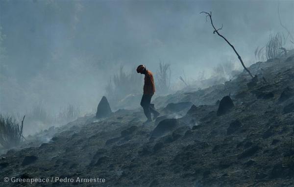 2014 haya sido el año con menor superficie quemada desde 1971