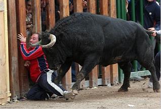 Castellón insta a la declaración BIC de los bous al carrer