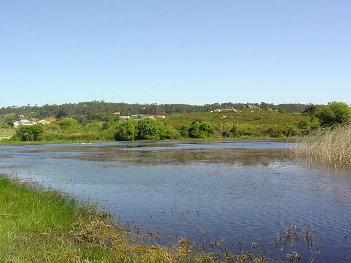 Galicia ampliará su Red Natura "en un 40%"