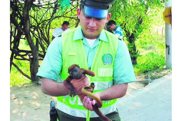 Campaña para proteger la fauna y flora guajira
